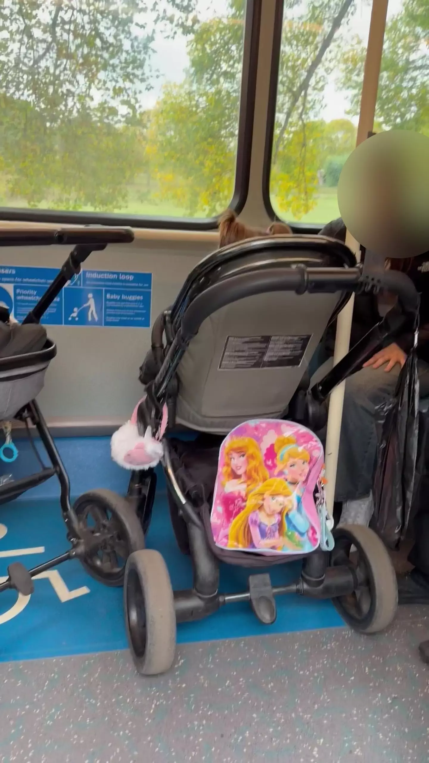 By law, wheelchair users have priority over the space as it is the only place they can travel safely (Kennedy News)