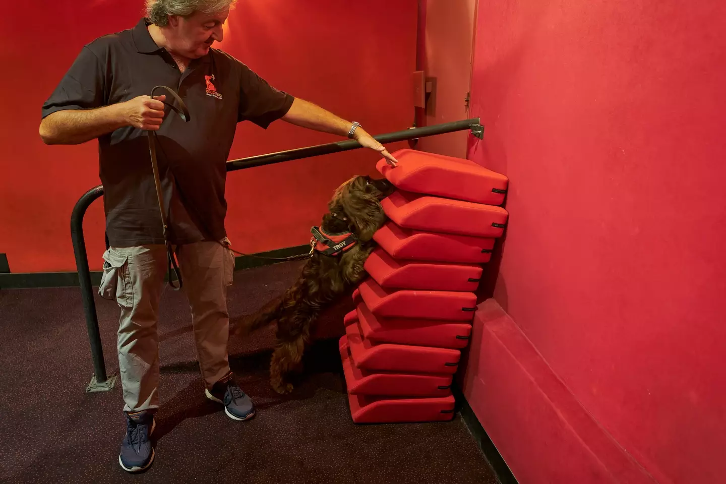 Canines have been brought into Paris cinemas to help track down infestations.
