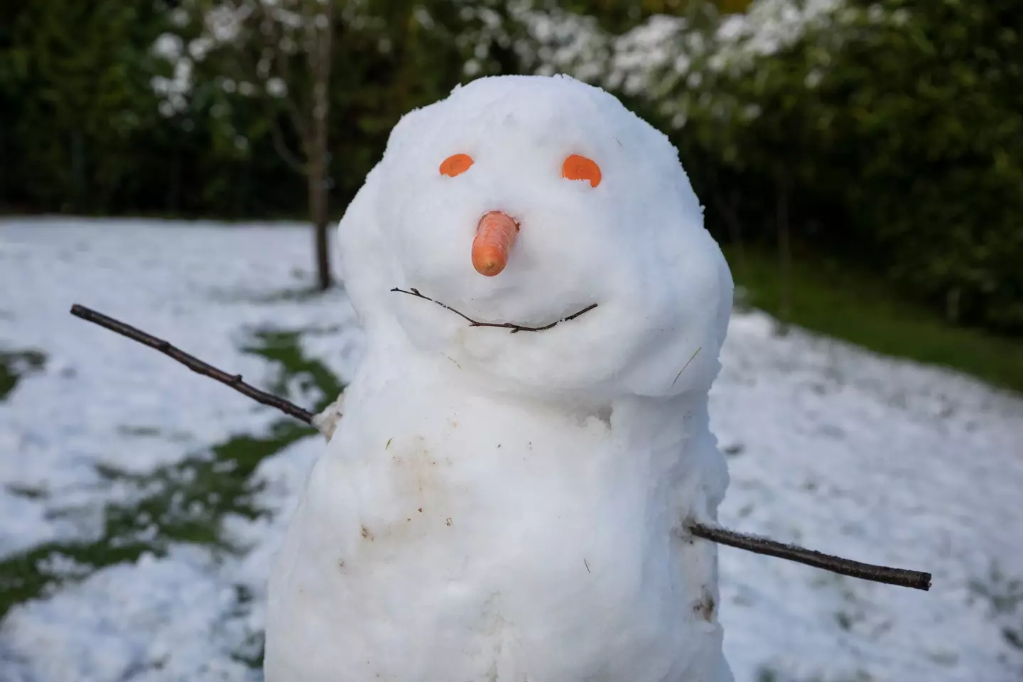 It's not this kind of snowman (Getty stock photo)
