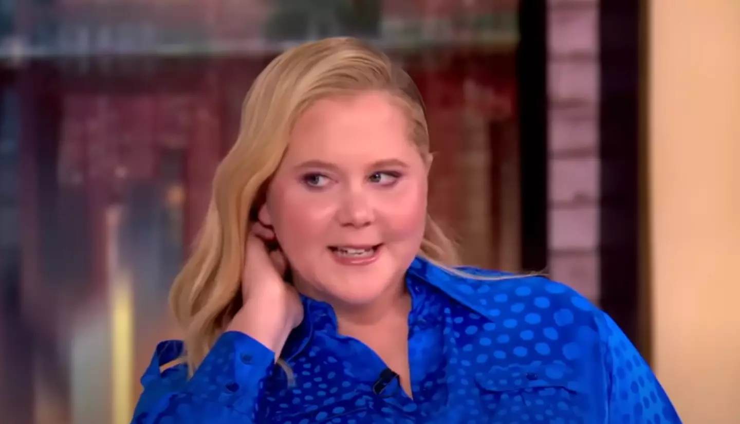 Schumer admitted that she only has sex three times a year (YouTube/The View)