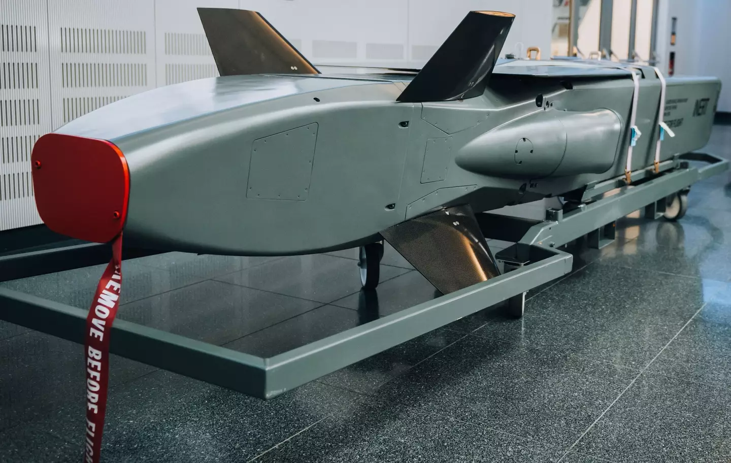 Germany has made it clear they're not sending the Taurus missile to Ukraine, it hasn't stopped Putin from threatening them (SEBASTIAN PIEKNIK/AFP via Getty Images)