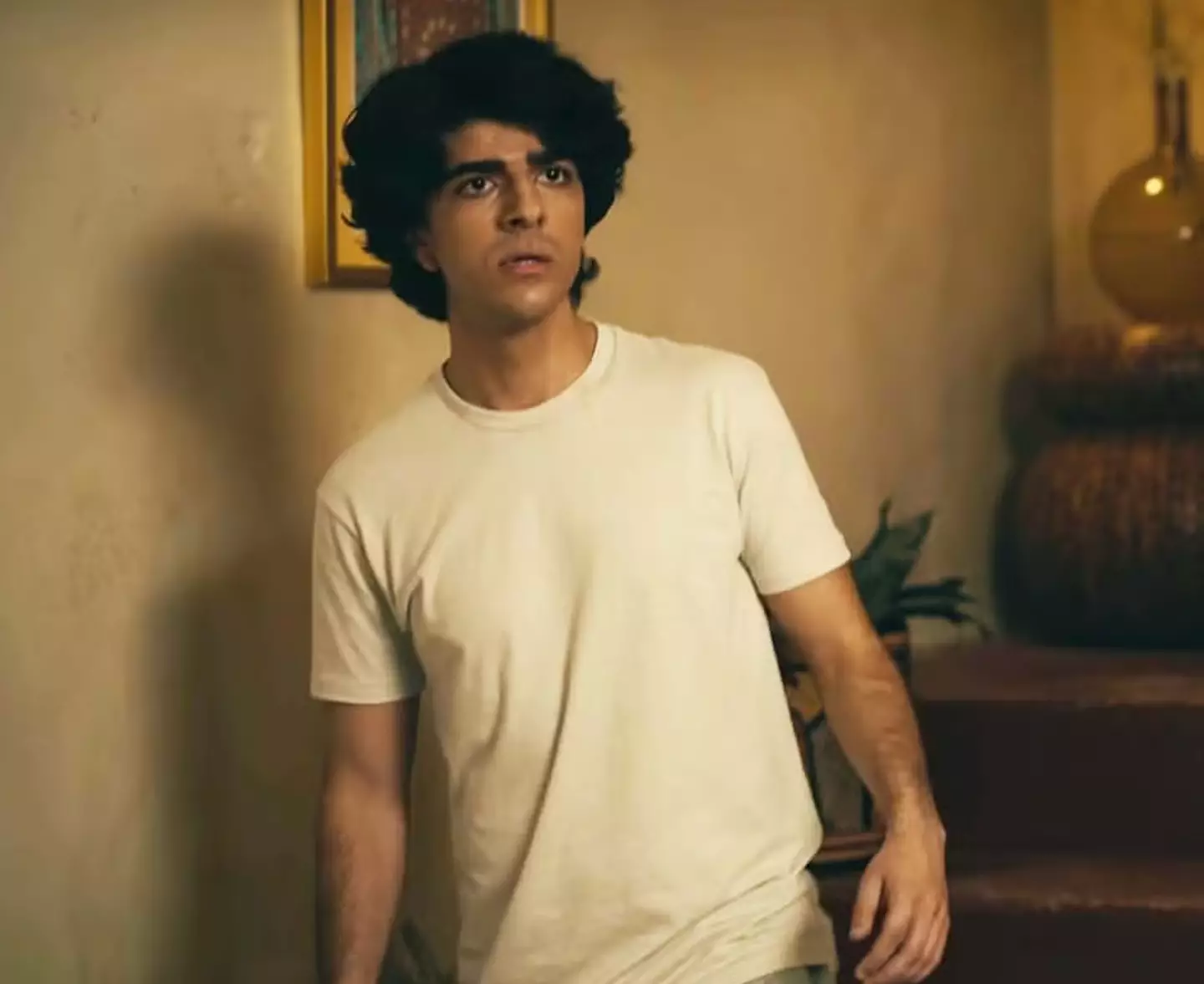 Several fans were complaining about the portrayal of Farhad (Netflix)