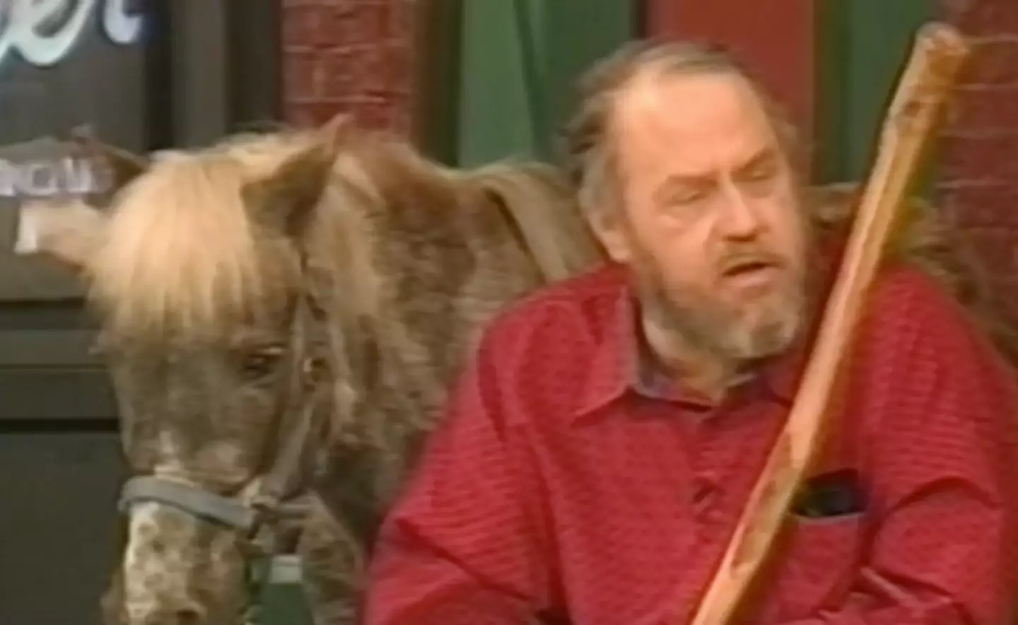 The man detailed how he had intercourse with the pony (CBS)