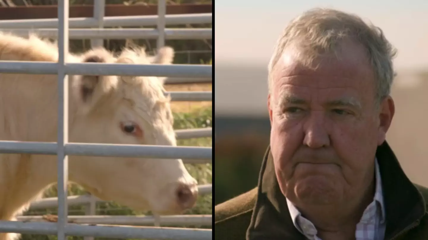 Clarkson's Farm fans can't understand fate of Pepper the cow after season two promise