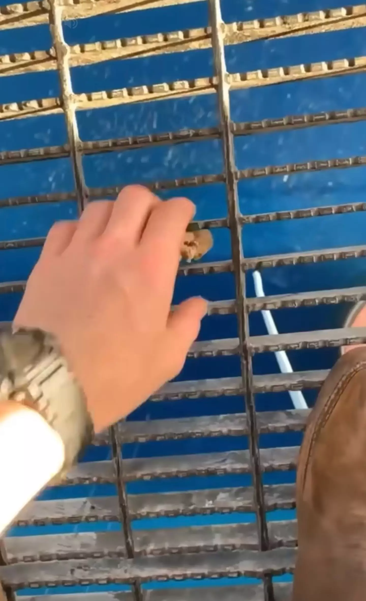 An oil rig worker is seen dropping a snack down below (Reddit)