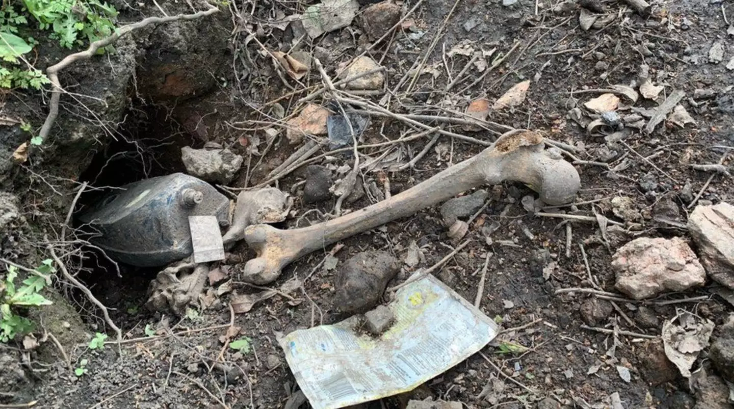 An 88-year-old woman was horrified to learn that badgers had been leaving human remains in her garden.