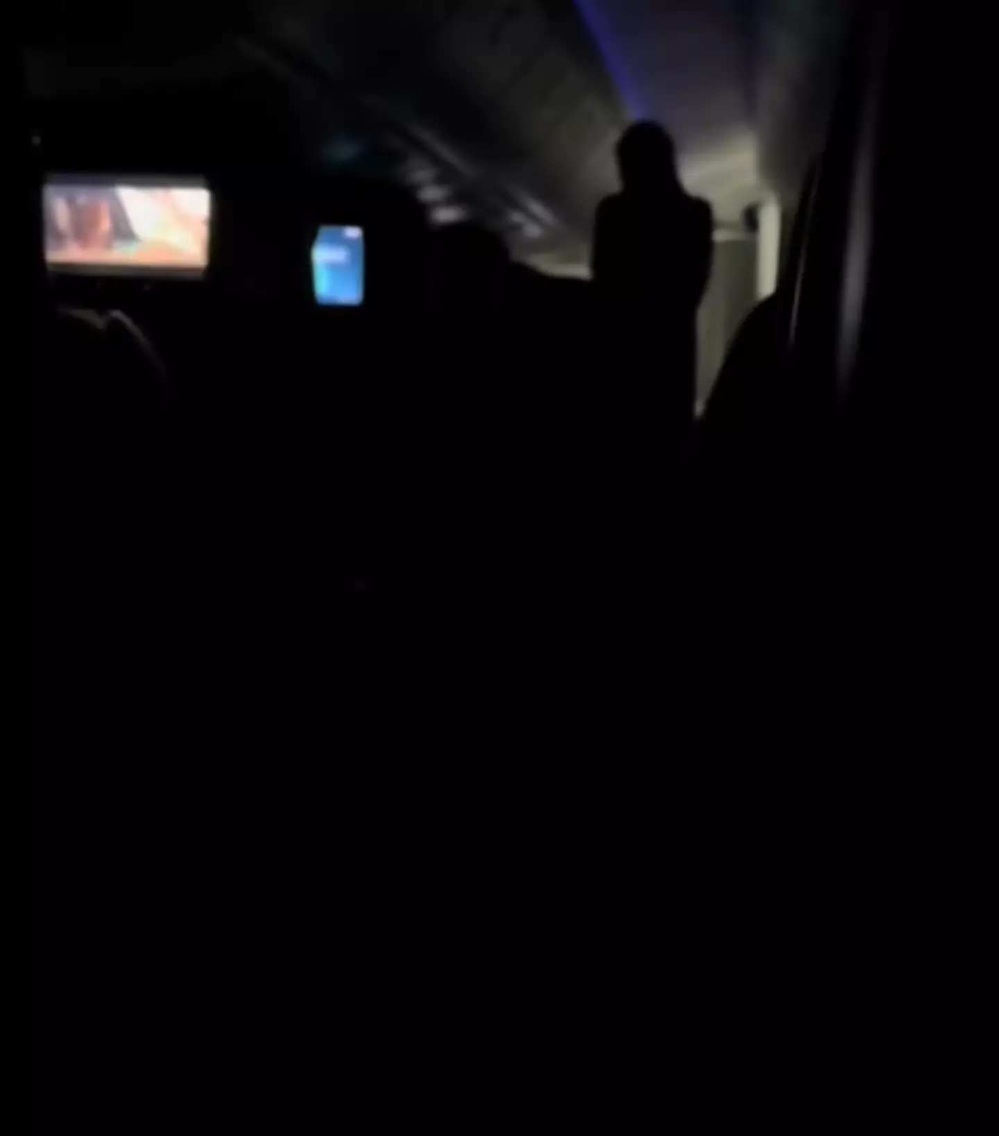 She even stood once the lights went off (TikTok/@envisionaries)