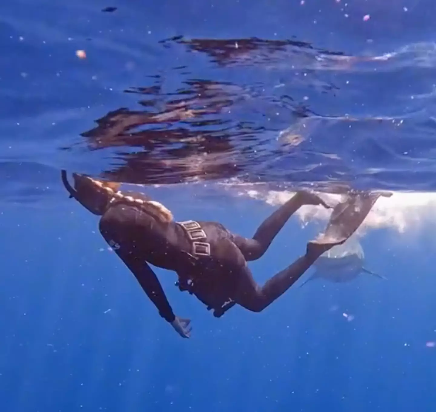 Andriana is used to facing sharks while diving.