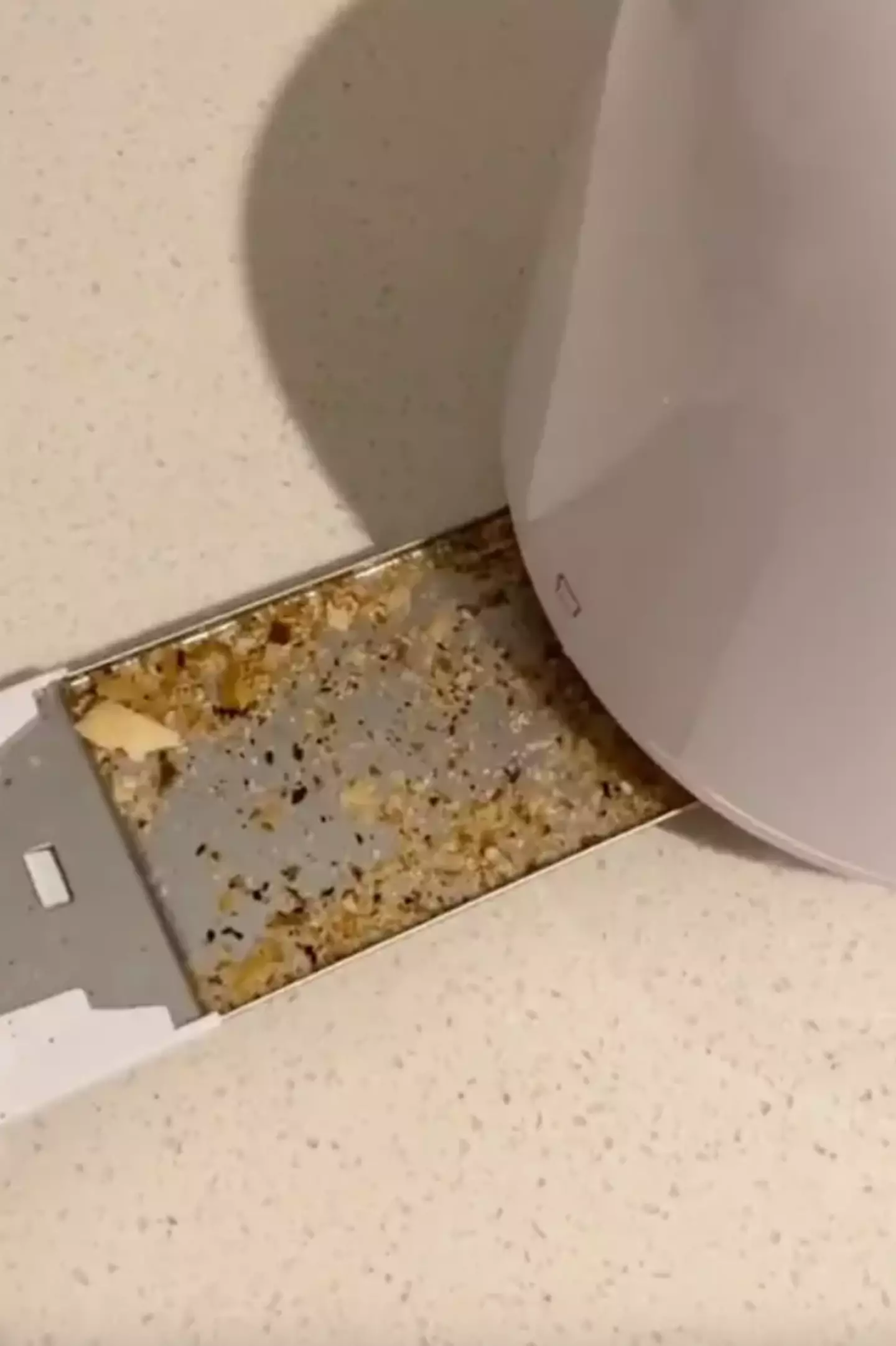 People were stunned to discover the toaster's 'secret' compartment.