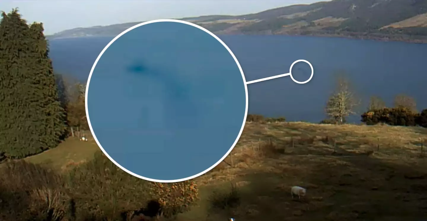O’Faodhagain's footage from Loch Ness.