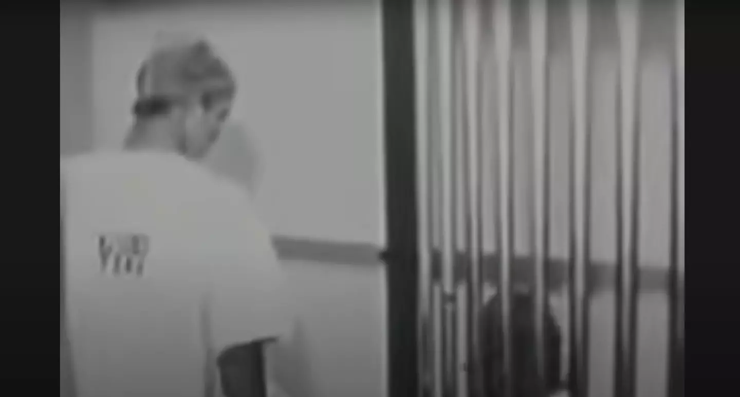 The prisoners of the Stanford experiment experienced harsh treatment (Psychology: The Stanford Prison Experiment - BBC Documentary)