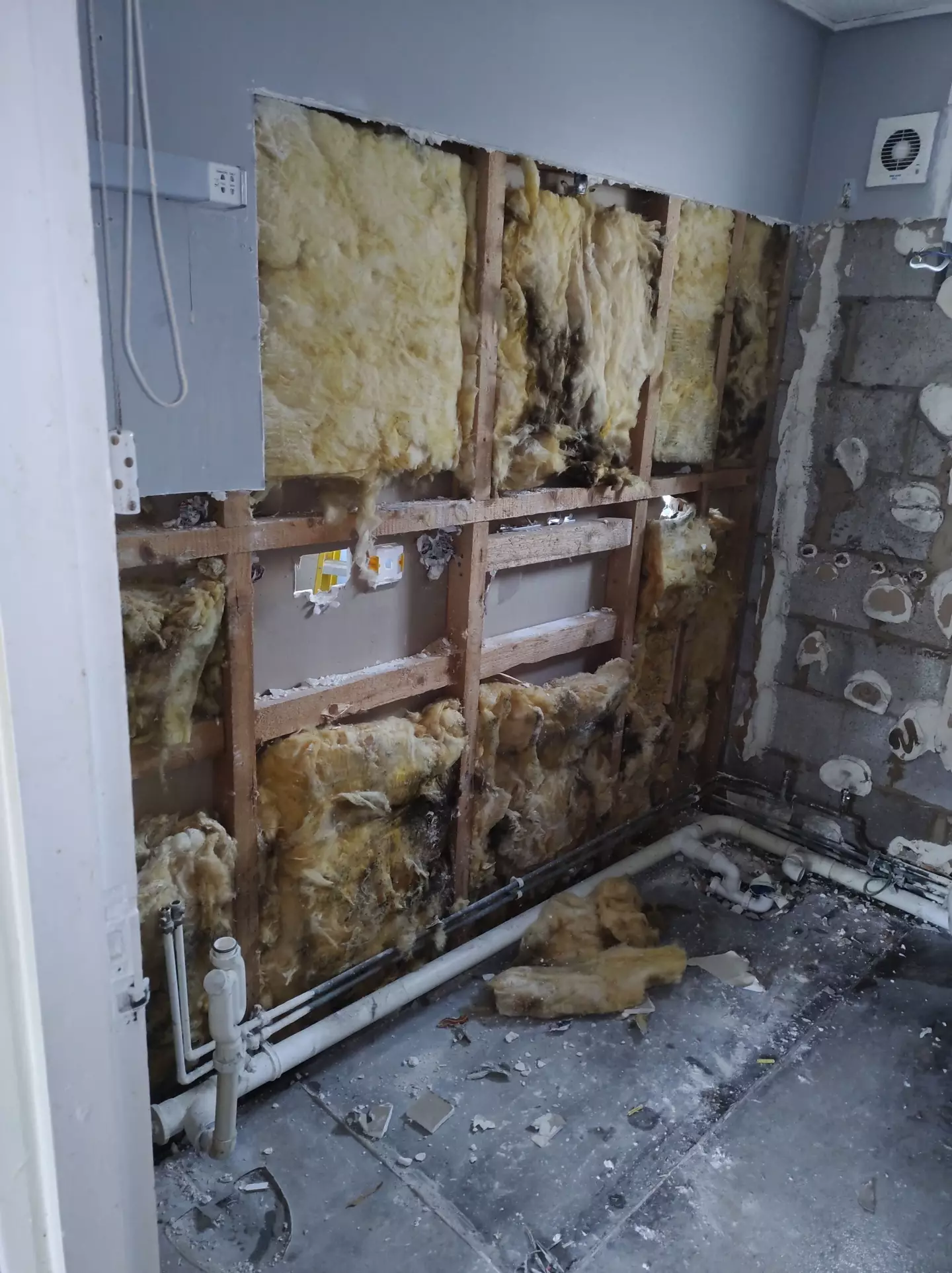 He says 75 percent of the social housing flat is covered in mould (Kennedy News and Media)