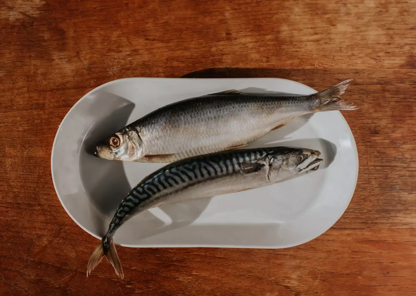 People in hysterics at viral 'weird' excuse to get yourself out of unwanted conversations 2 Fish, who would have thought? (Getty Stock Images)