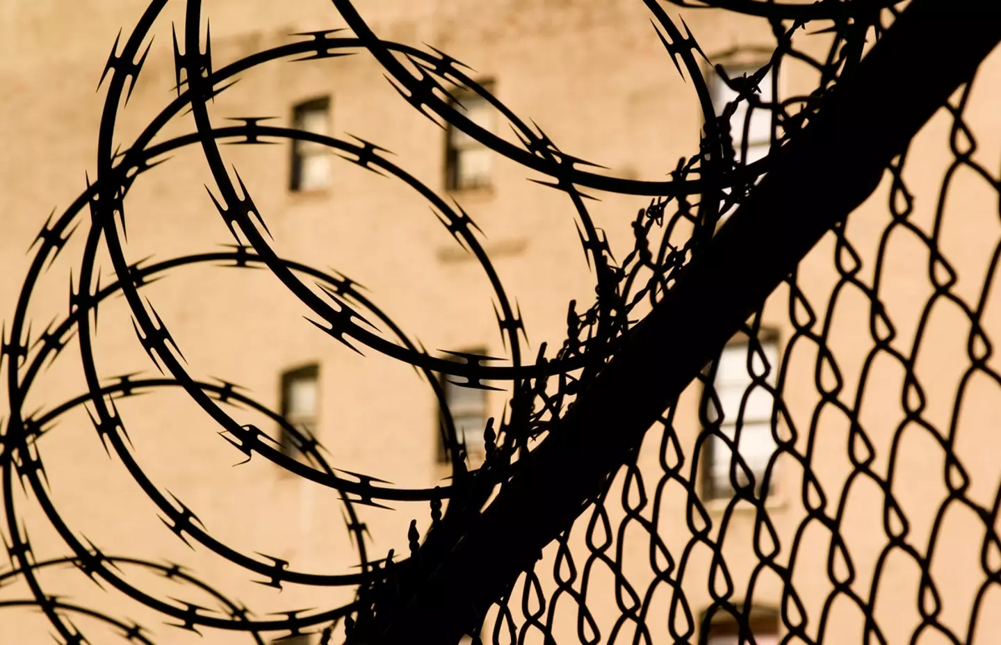 He was given the lethal injection at the Broad River Correctional Institution in South Carolina (Getty Stock Image)