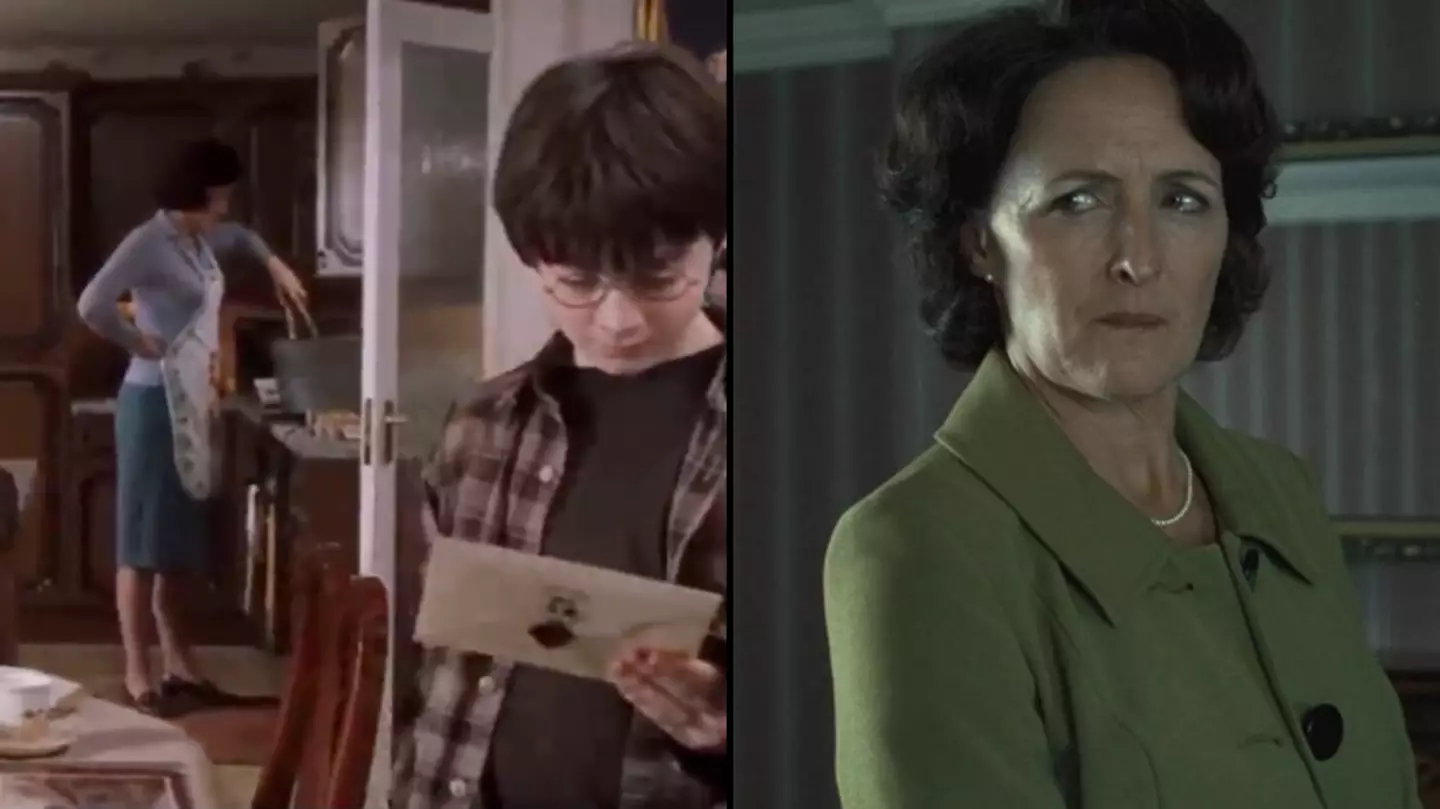 Harry Potter fans are just realising what Aunt Petunia is doing in kitchen scene