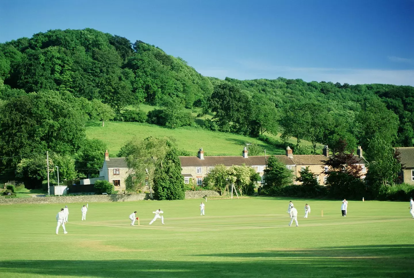 Those responsible for the 'torturous' acts have been banned from playing cricket this year (Getty Stock Image)