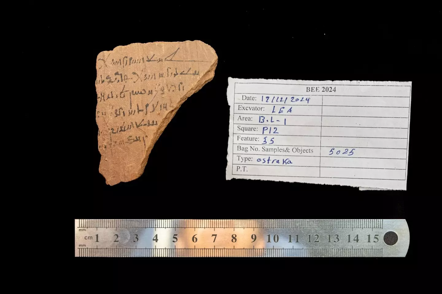 Findings from the Roman pottery shop also discovered by the team (Ministry of Tourism and Antiquities)