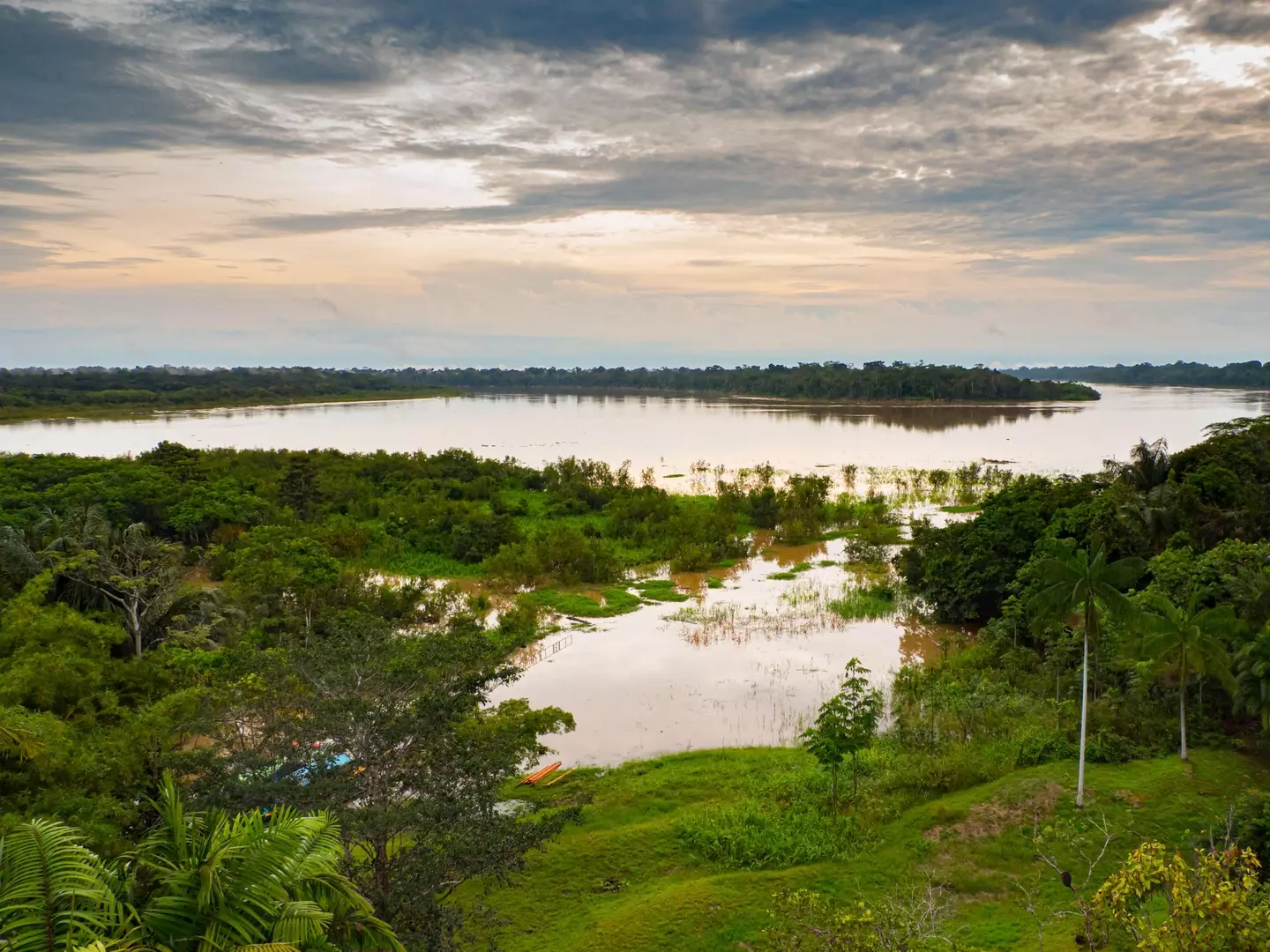 The writer was travelling in the remote area with Bruno Pereira whilst researching a book.