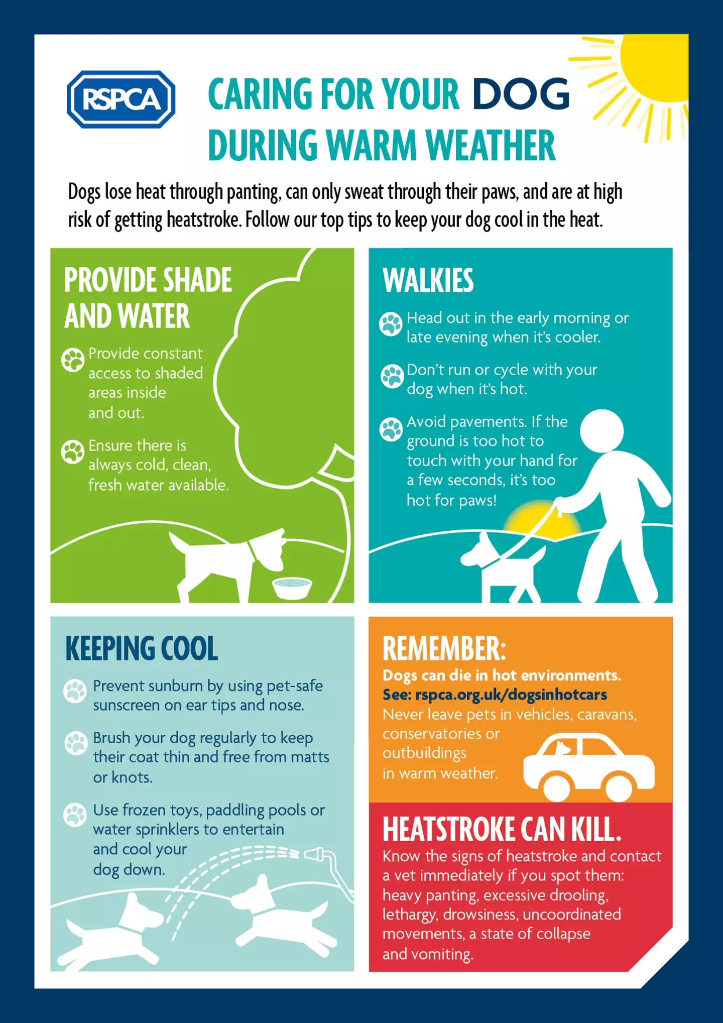The RSPCA has given advice on how to take care of your dog in warmer weather.