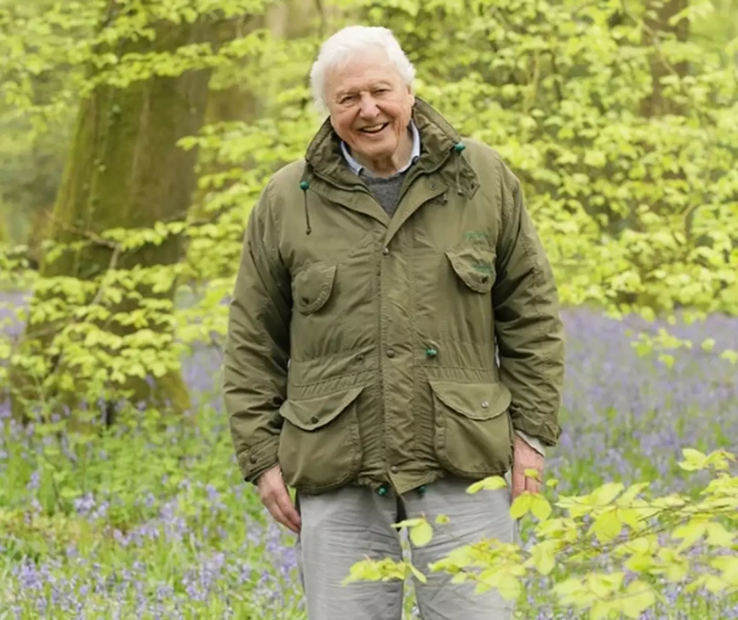 David Attenborough's new documentary is showing you what animals really sound like.