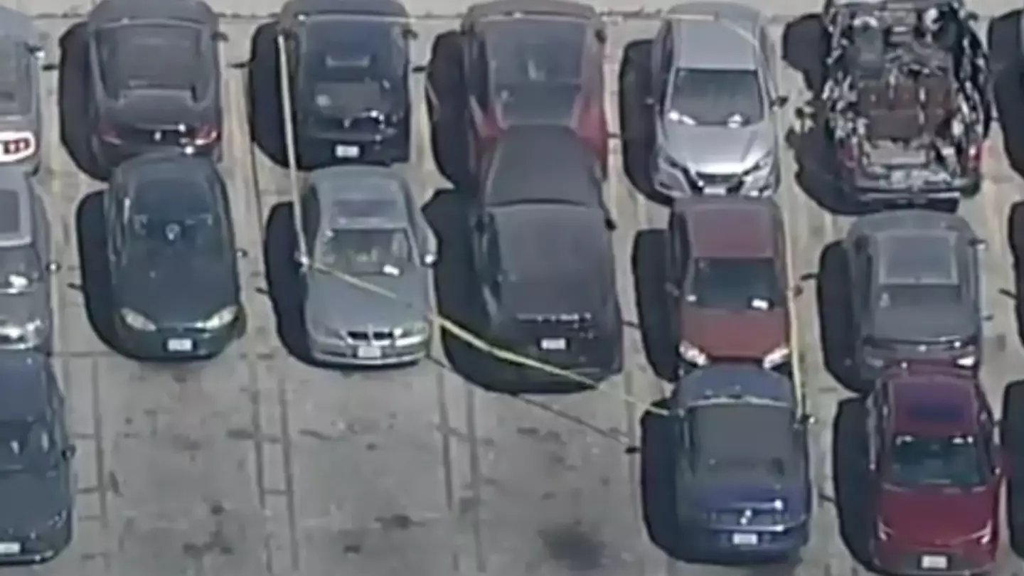 Major update after decomposing body found in boot of impounded Tesla allegedly belonging to US singer