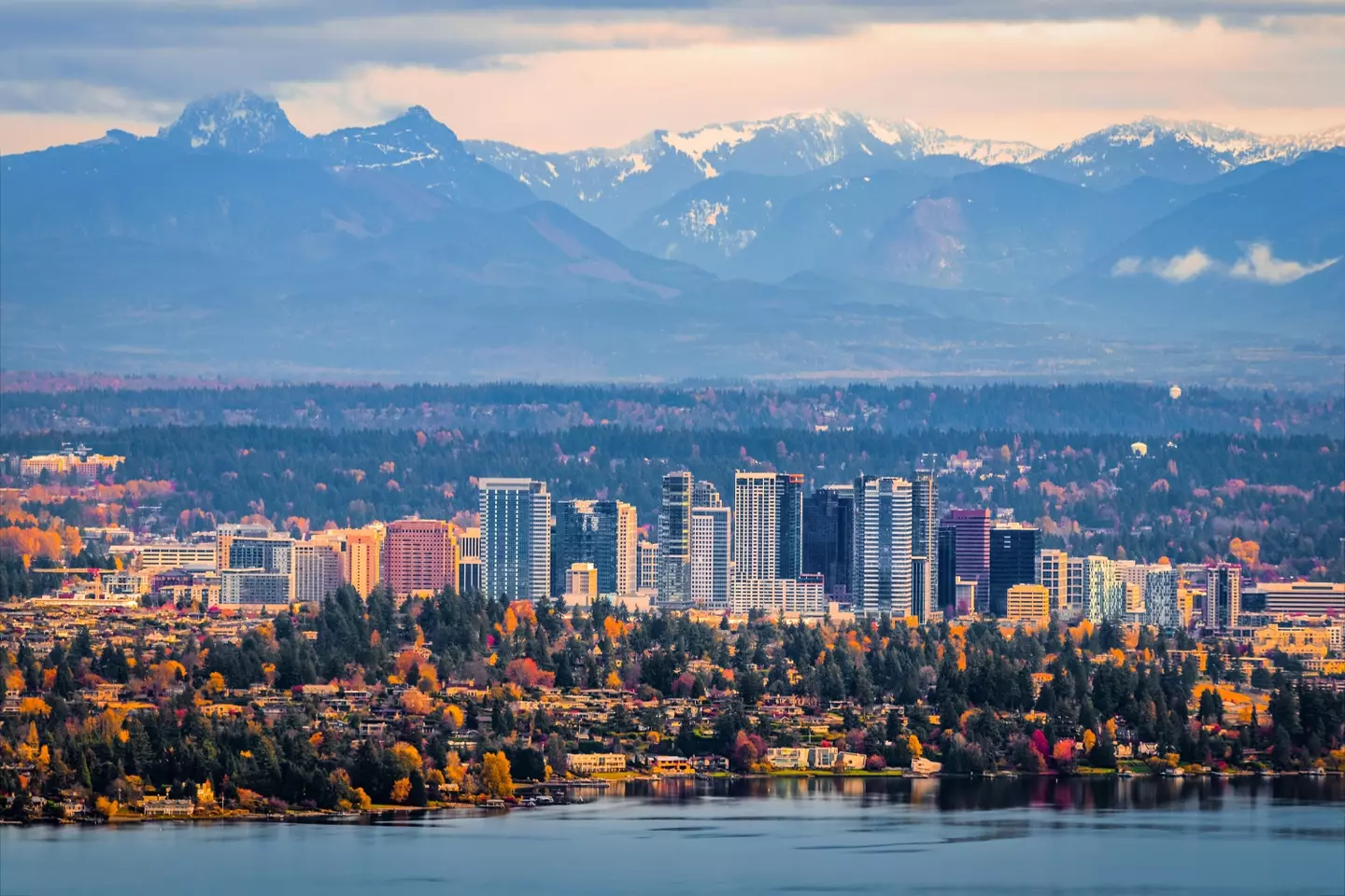 Miska was wrongly fined for bad behaviour in Bellevue.