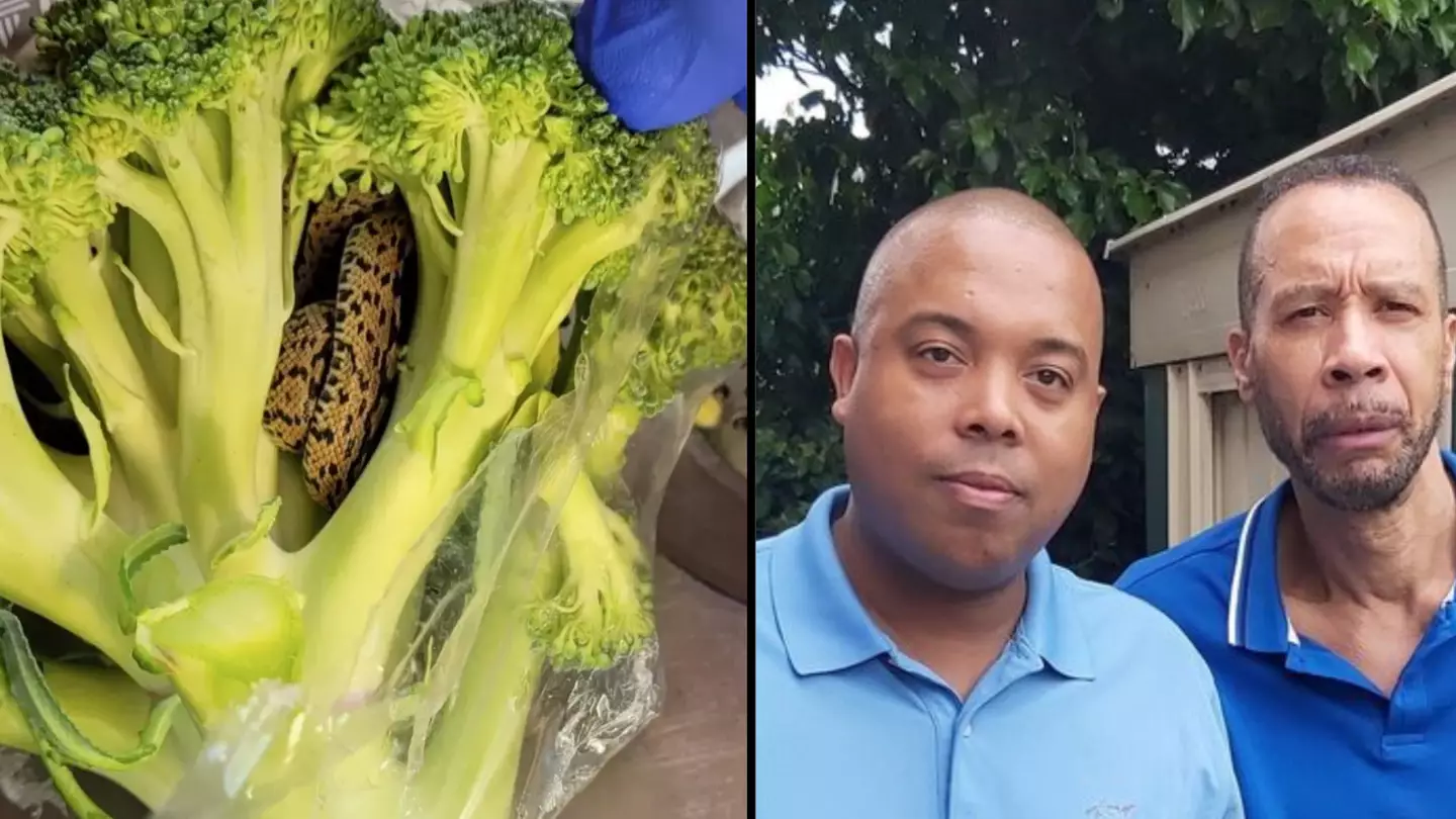 Customer shocked to find snake inside bag of broccoli
