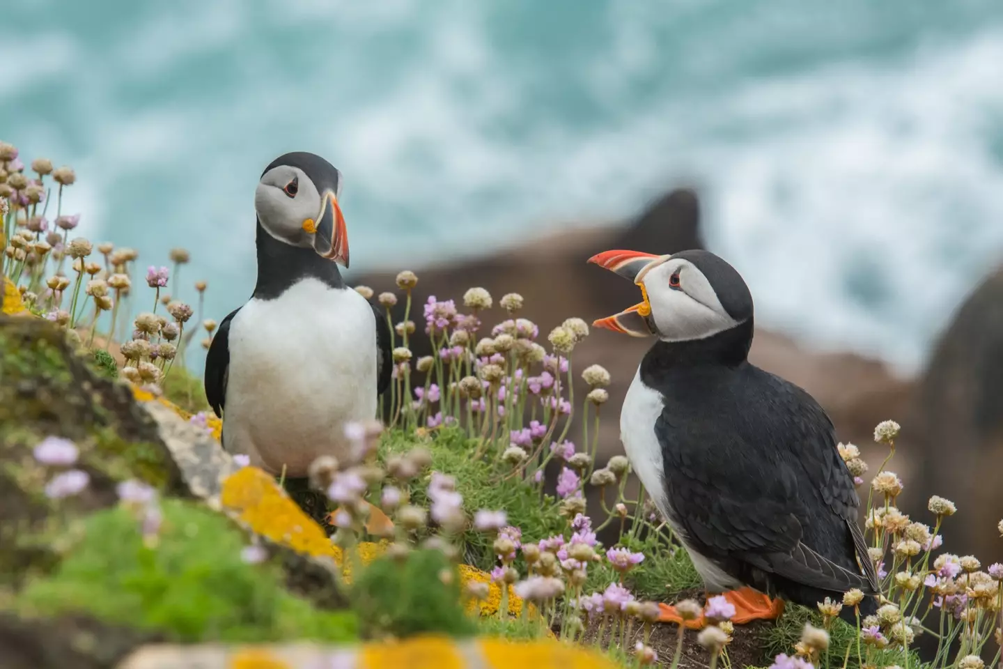 Puffin hunters are believed to have used the lonely location.