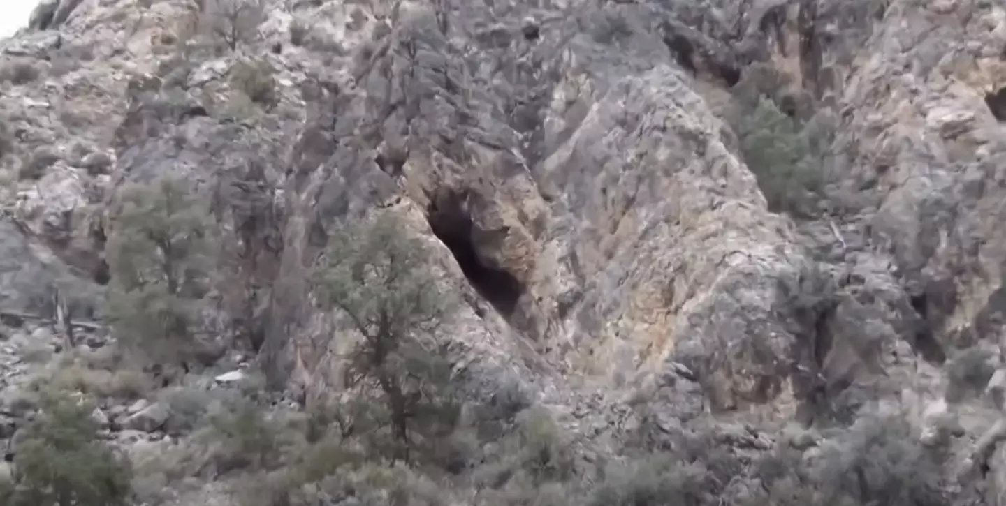 YouTube explorer vanished after going in search of cave he promised to find and people still don’t know what happened 3 He couldn't find the cave on his second attempt, it isn't known if he found it on his third attempt (YouTube/Snakebitmcgee)