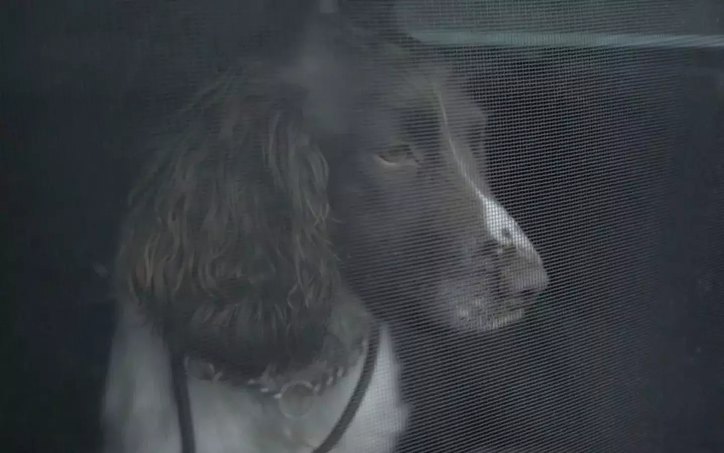 Martin Grime brought his two spaniels, Eddie and Keela, to exercise their expertise at the crime scene (Netflix)