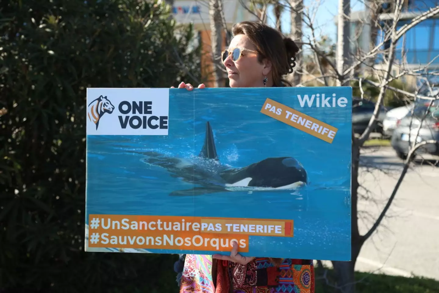 Protests have been going on since the park first closed in January (Mohamad Salaheldin Abdelg Alsayed/Anadolu via Getty Images)