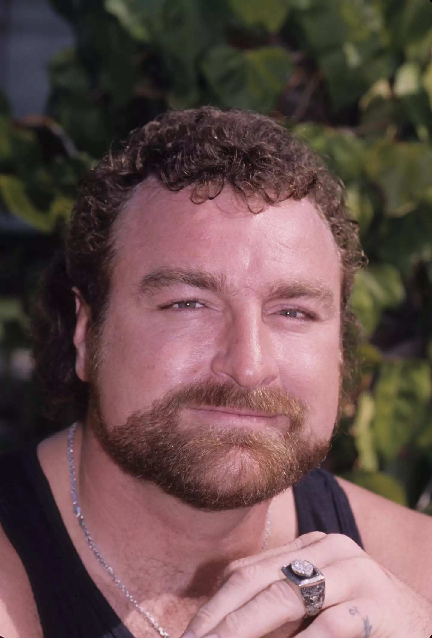 Chronic pain ended Matuszak's football career.