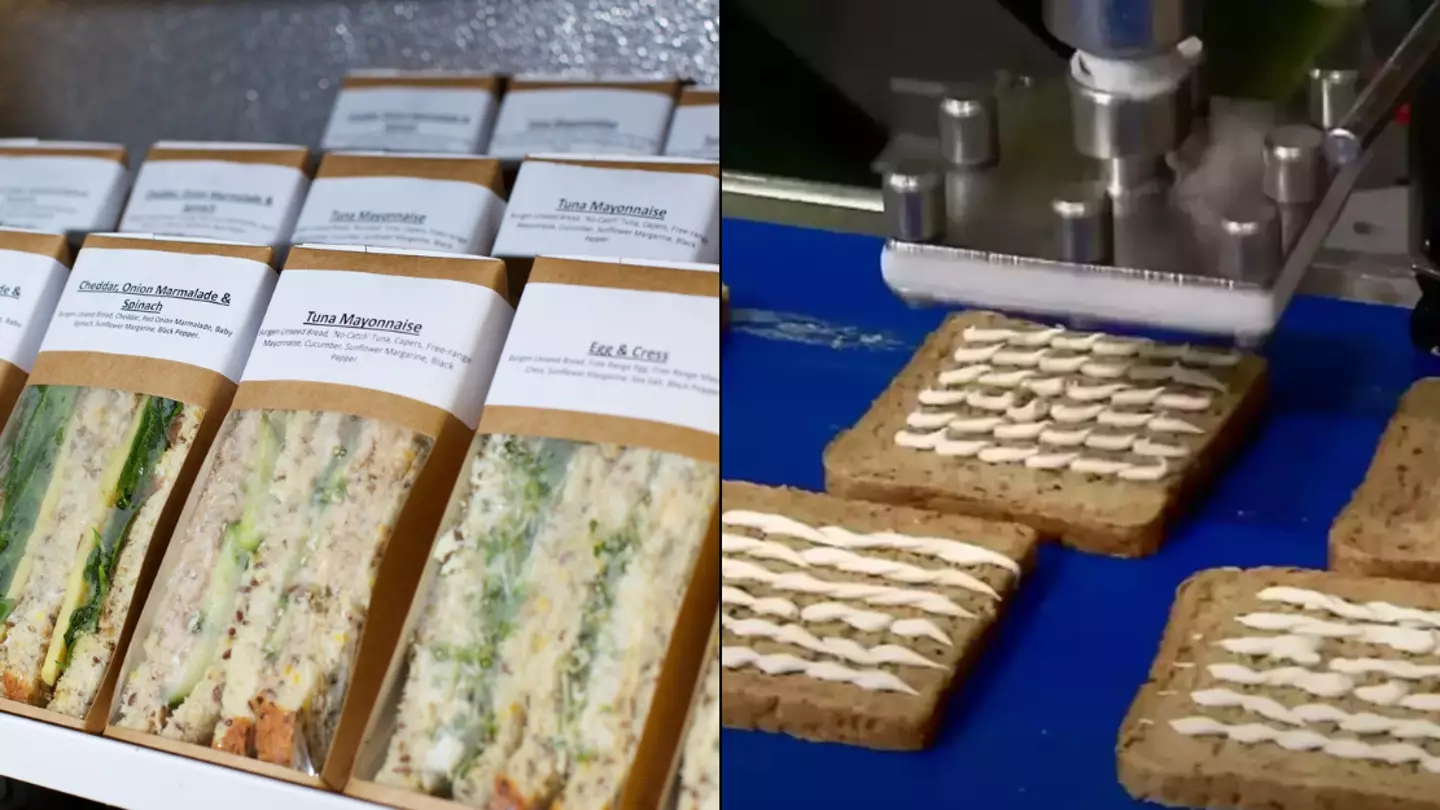 People can’t get over ‘depressing’ video showing how pre-packaged sandwiches are actually made
