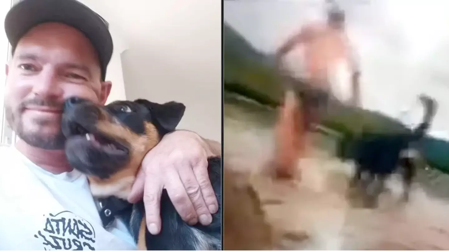 7NEWS Australia/ YouTube