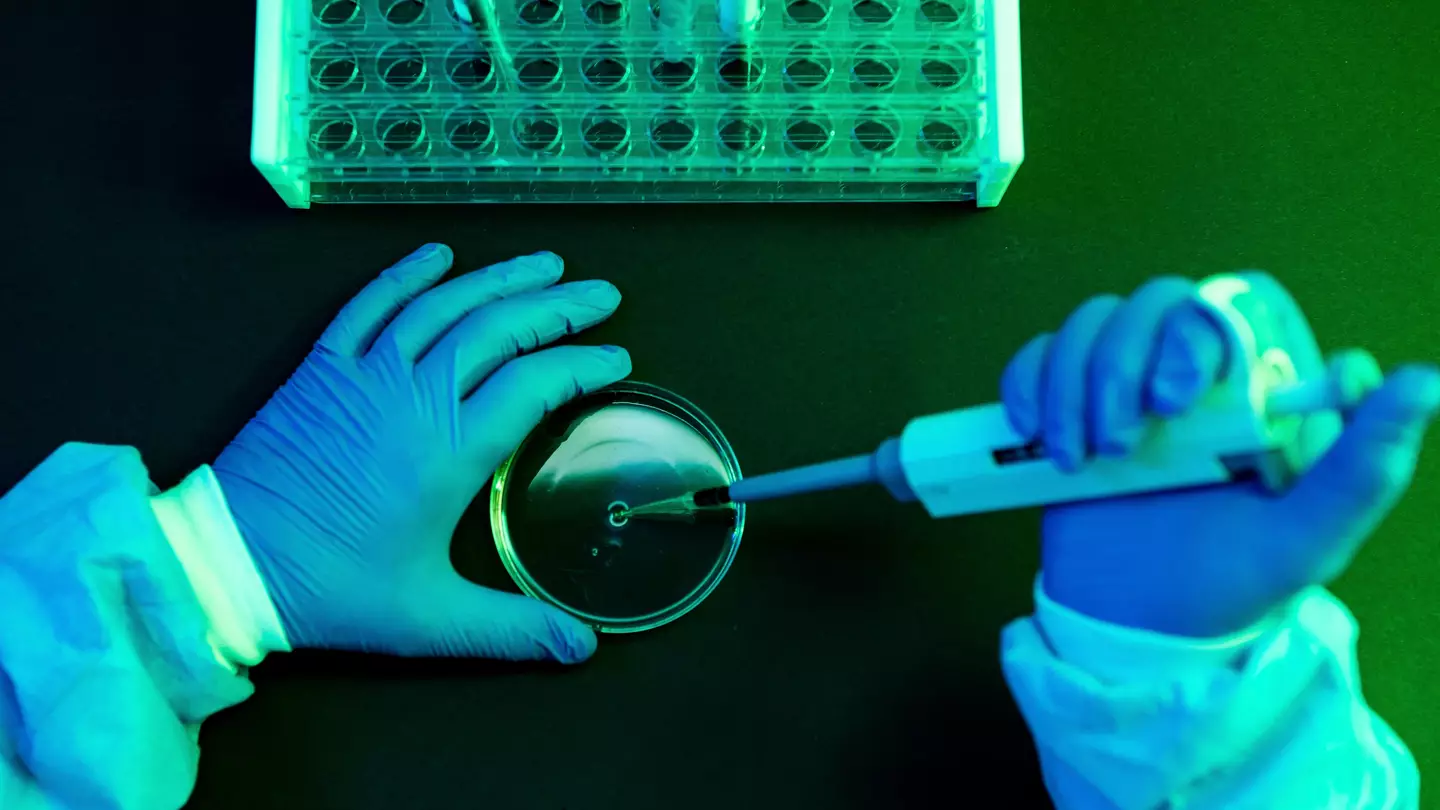 Scientists believe they've developed drug to halt human ageing in major breakthrough
