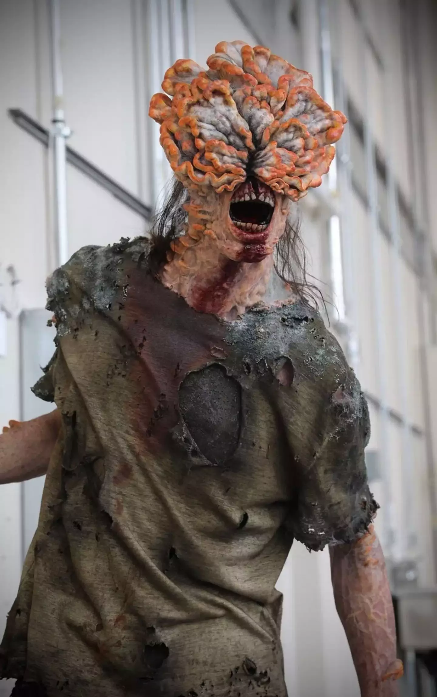 A fungi disease could be on the cards in our future, just like The Last of Us. (HBO)