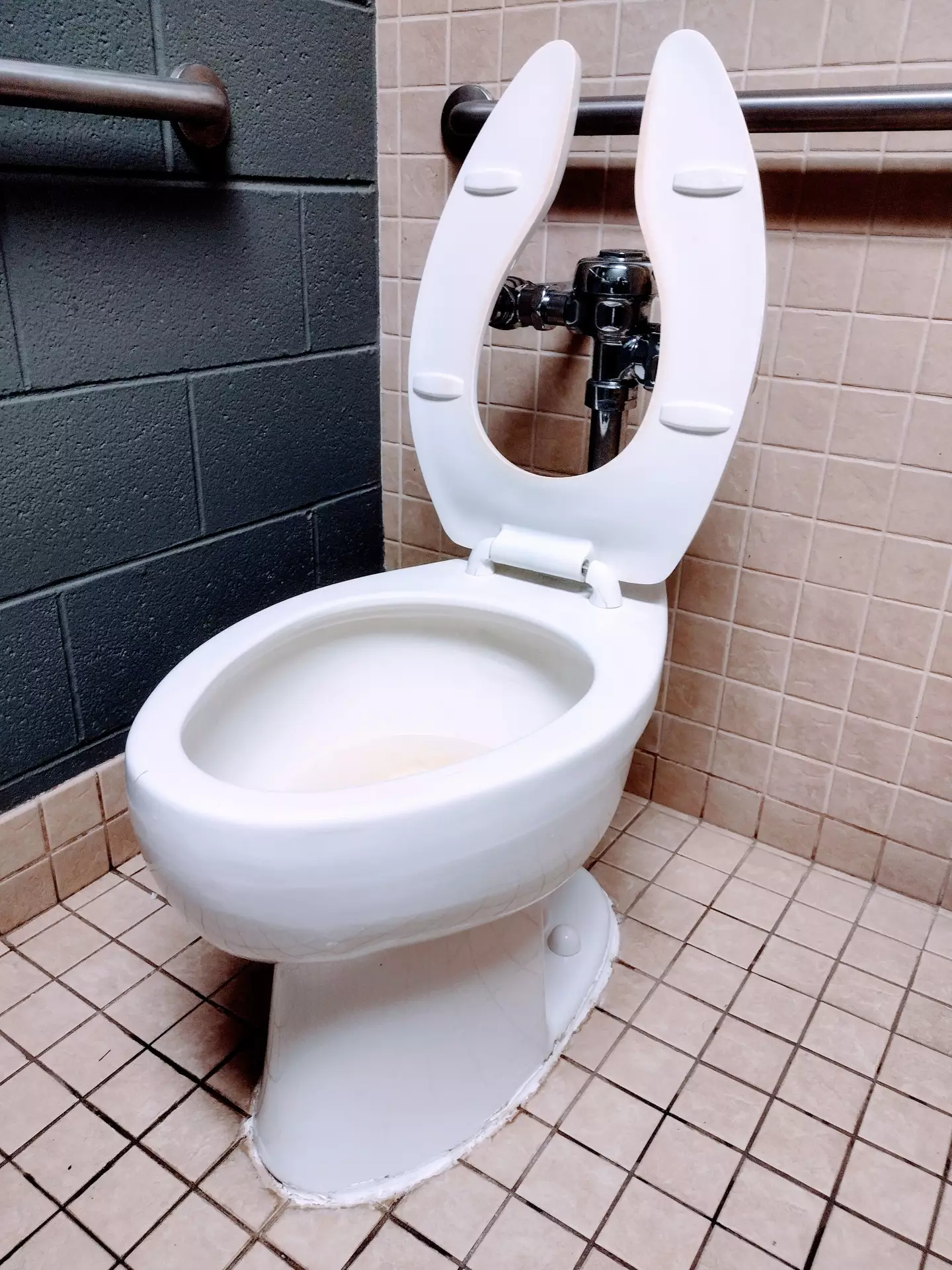 Mystery over why some toilet seats have open fronts has been solved 2 You may be wondering why there's a bit missing from the seat, it's all for your hygiene (Getty Stock Image)