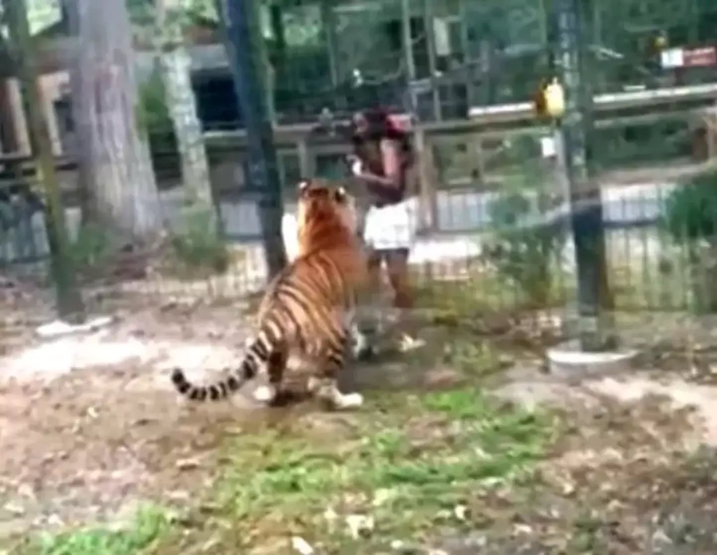 The zoo may now need to re-evaluate the way it operates. (Bridgeton Police Department)