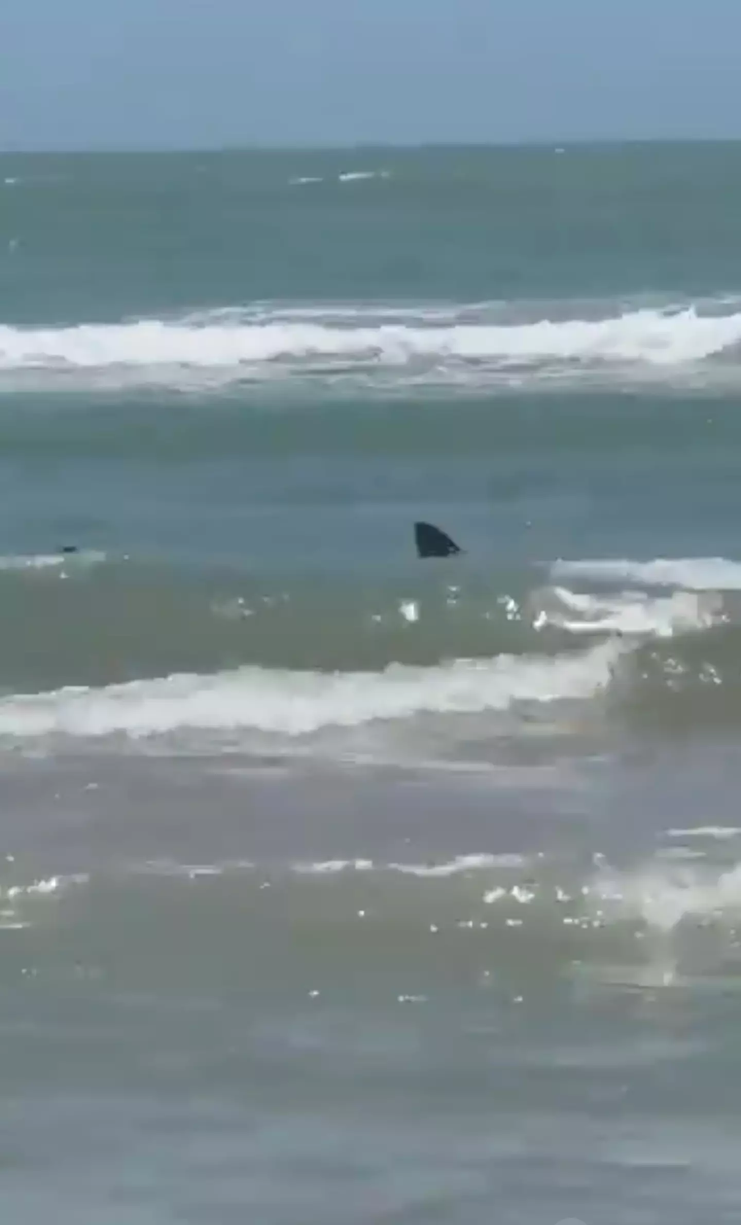 The fin could be seen in the video. @shannonsharpeee/X