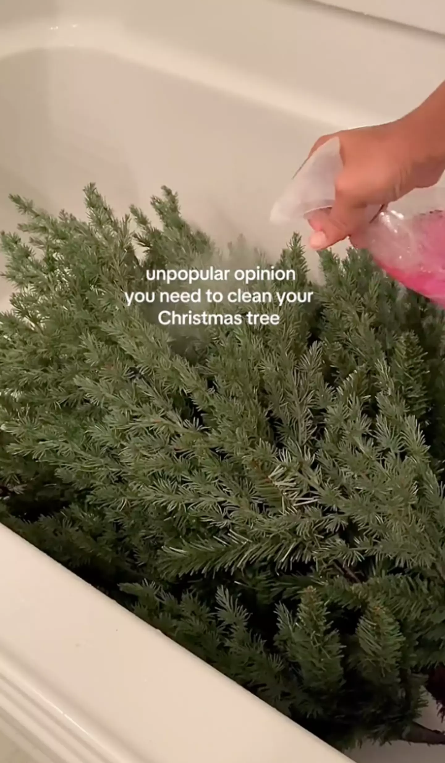 A 'cleaning therapy believer' has gone viral for washing her Christmas tree in her bathtub.