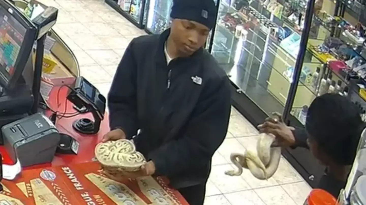 Shocking footage shows moment thieves allegedly steal from shop using snakes as weapons