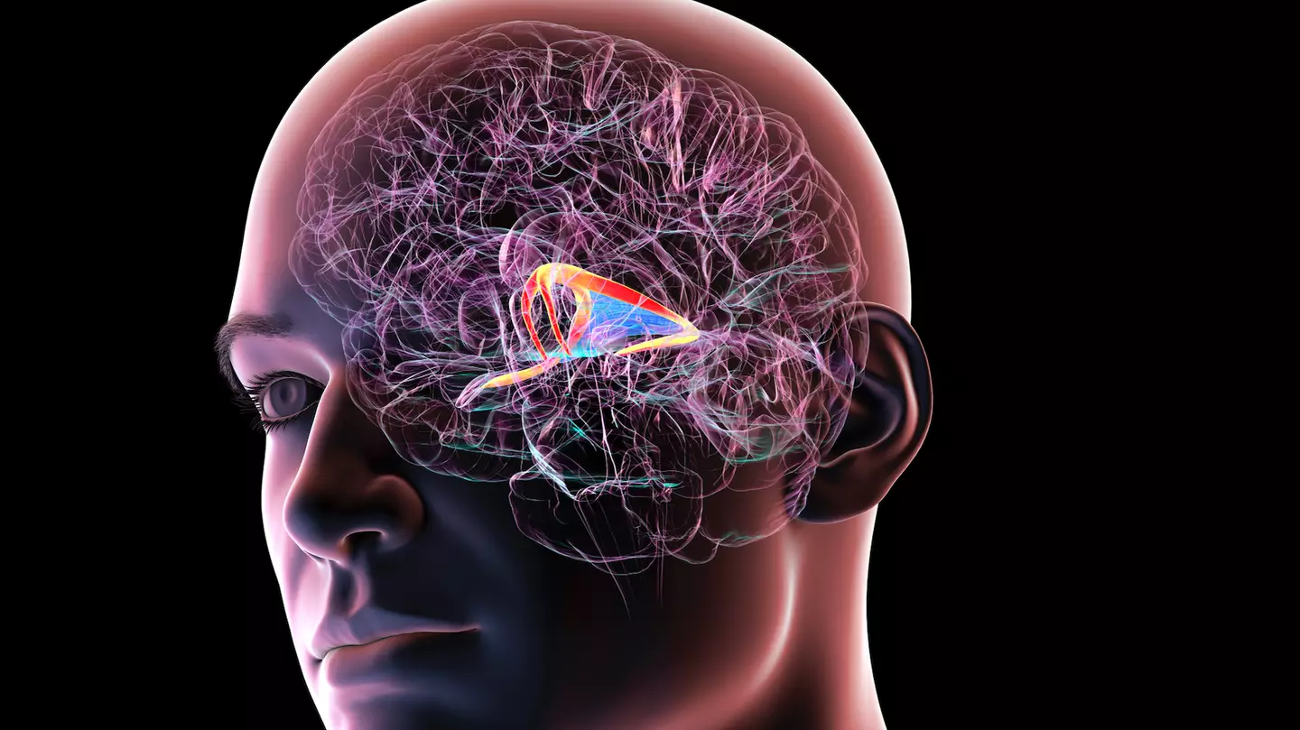 Getty/Science Photo Library