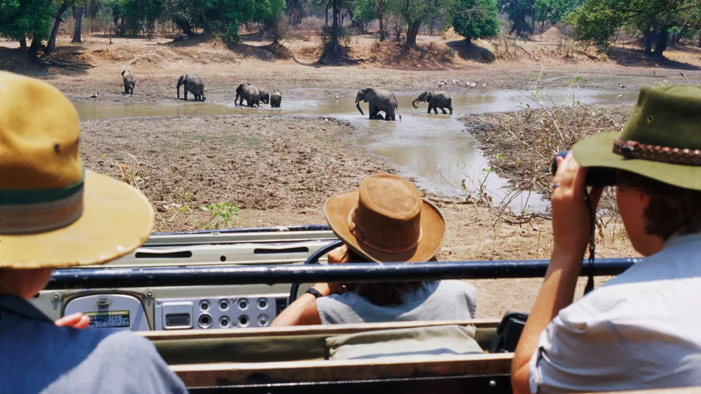British tourist and friend killed by charging elephant on safari in Zambia