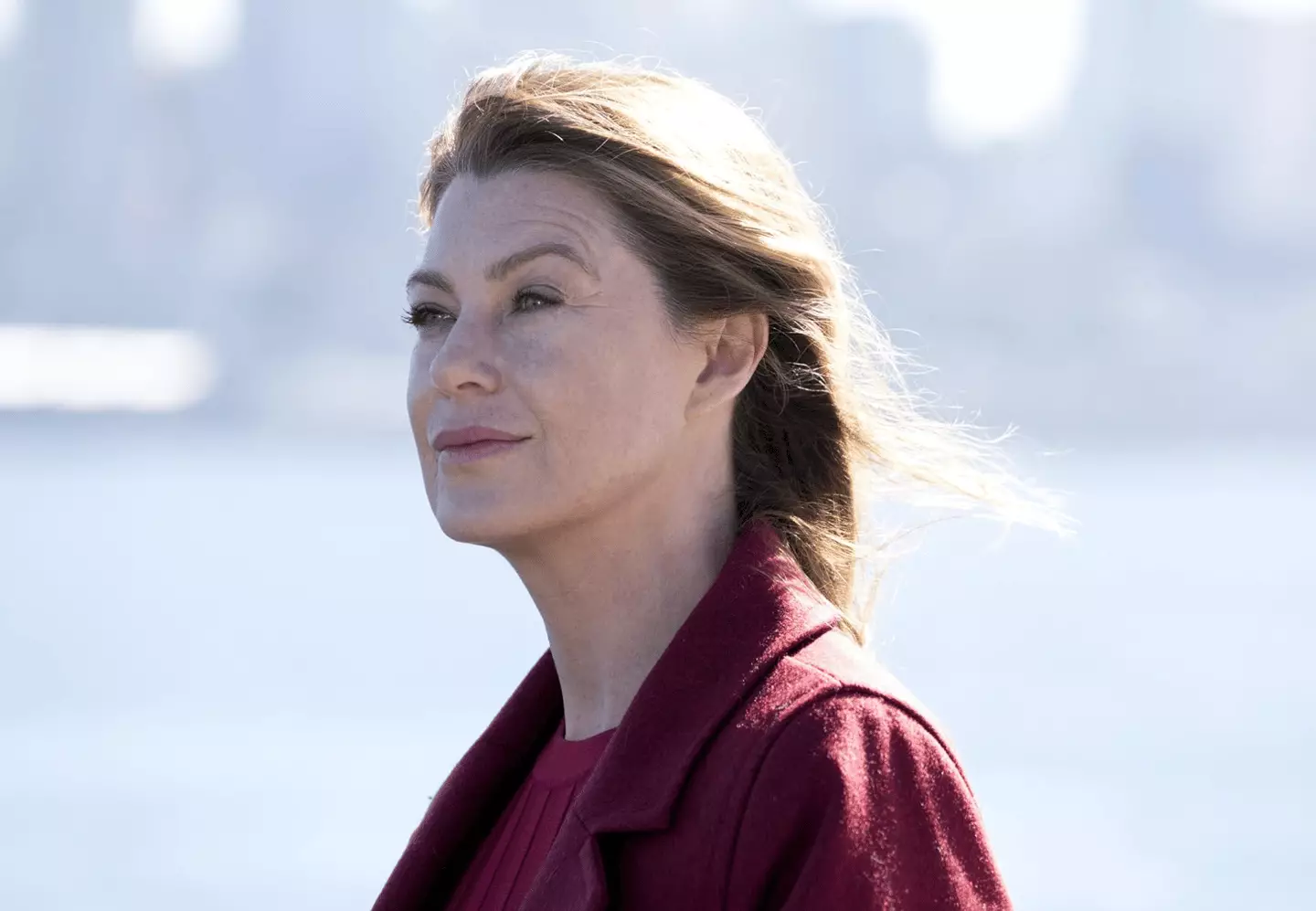 Ellen Pompeo left Greys Anatomy last year after 19 seasons. (ABC)