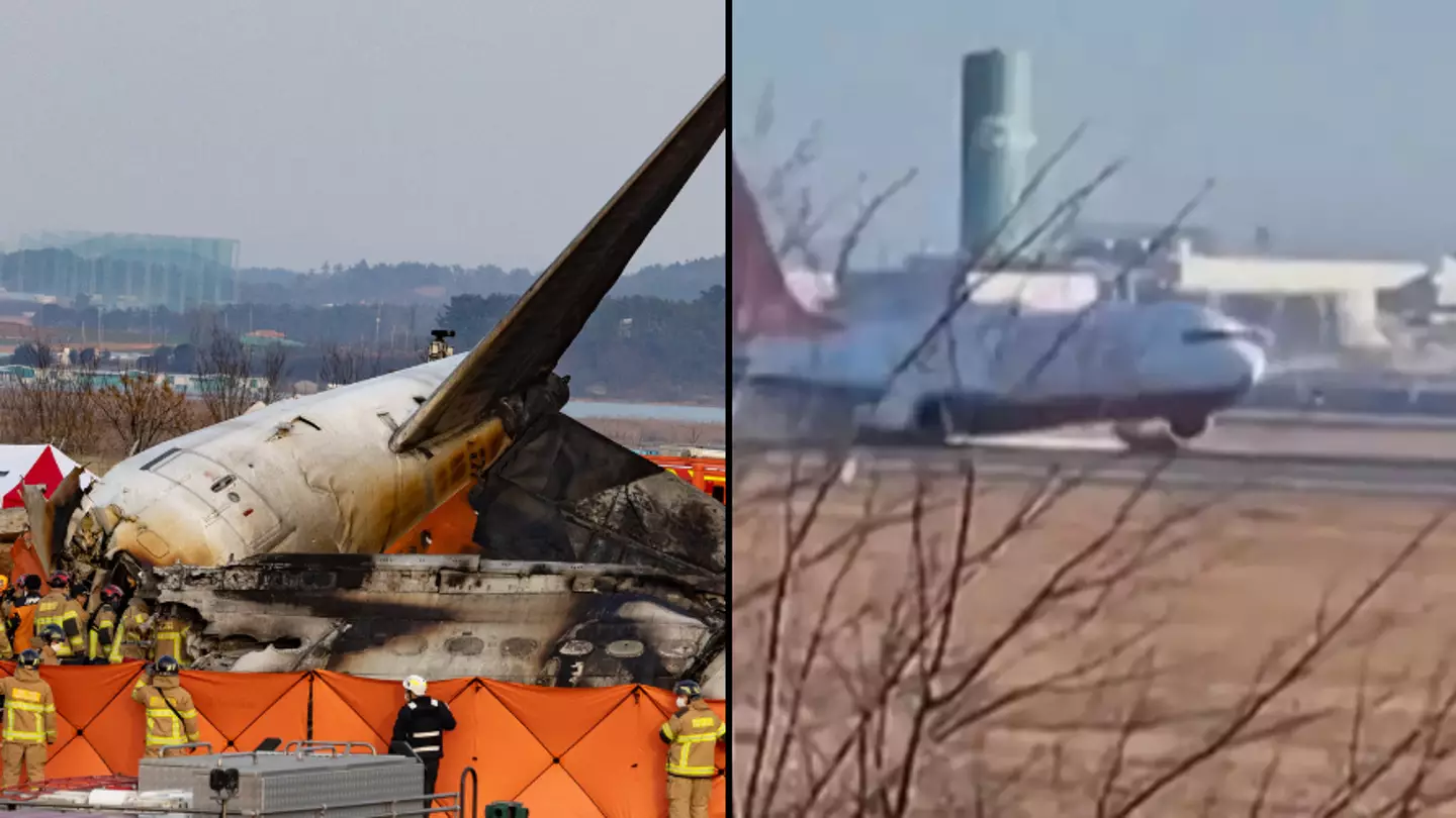 Air traffic control shared warning to aircraft minutes before tragic plane crash that saw 179 killed