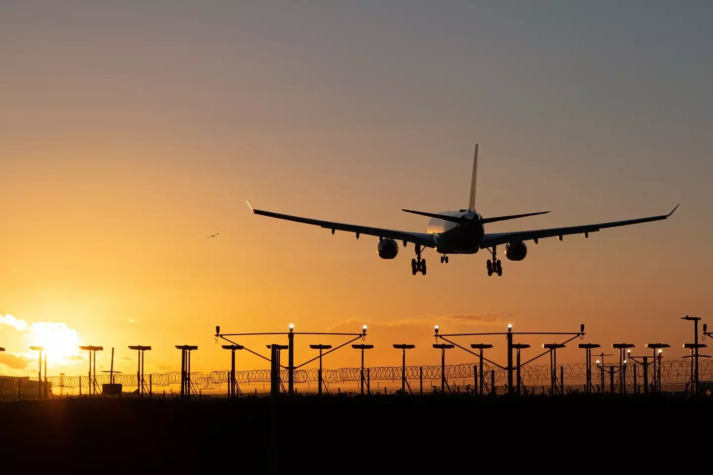 The lights typically dim during evening and nighttime flights.