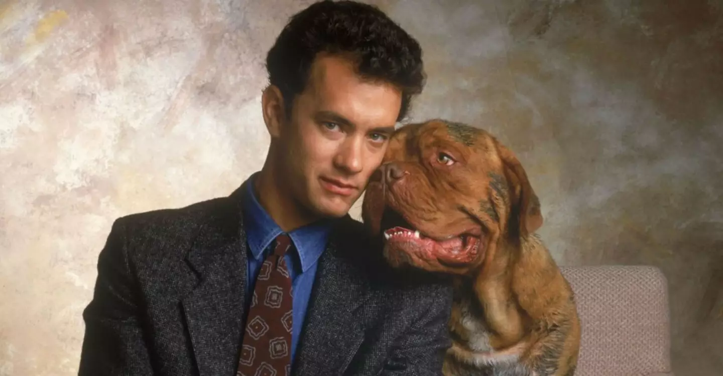 Hanks didn't get along with someone on the 80s' film (Touchstone Pictures)