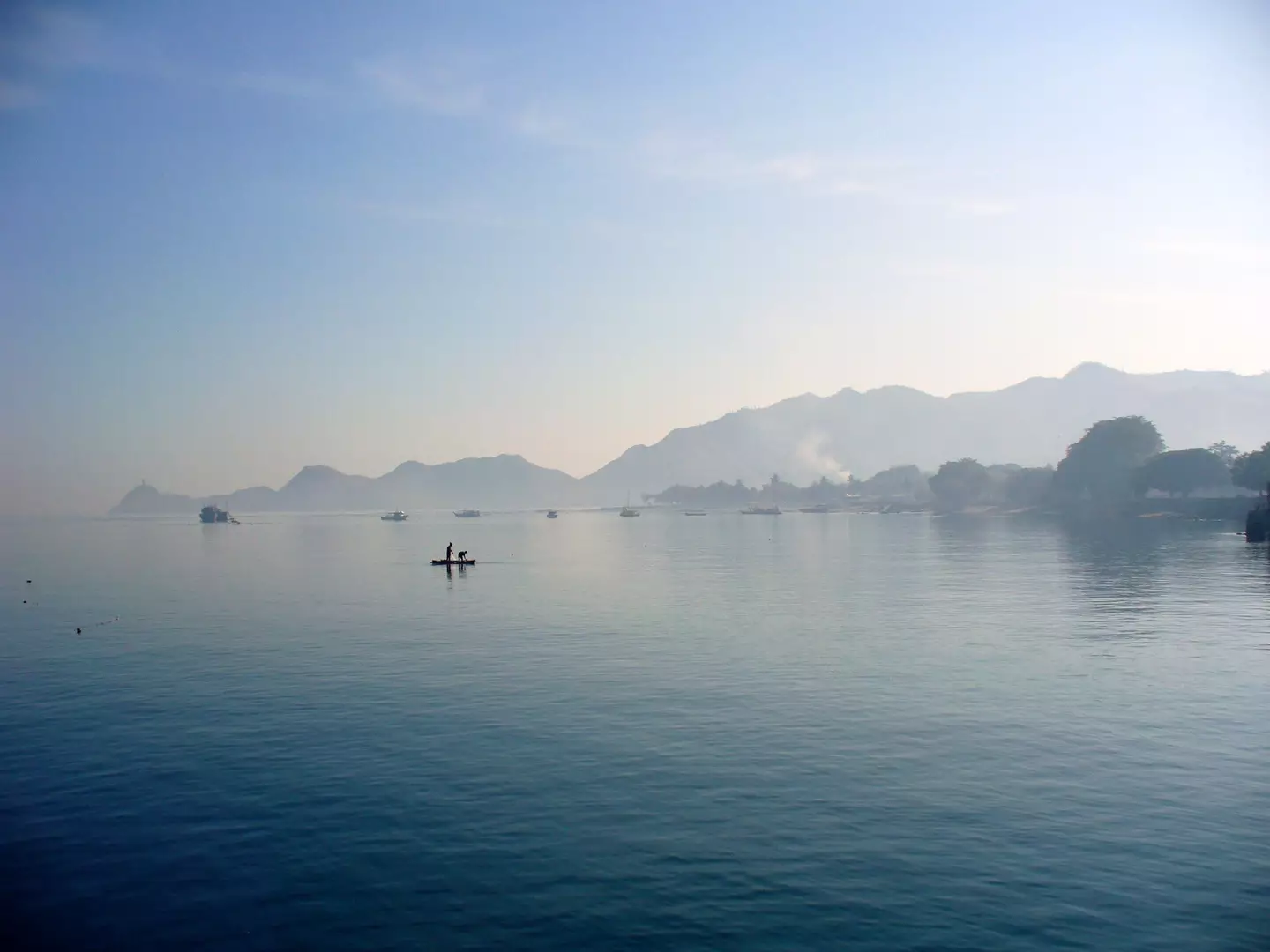 The shark was found off the coast of Timor (yeowatzup via Getty Images)
