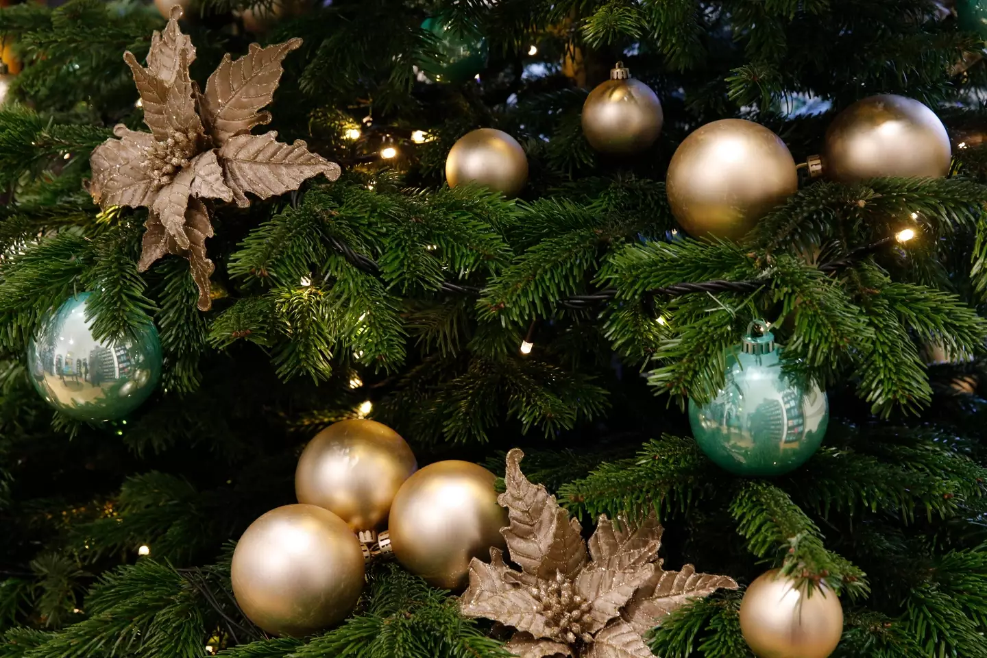 Which? has warned some Christmas lights it purchased online were found unsafe for use.