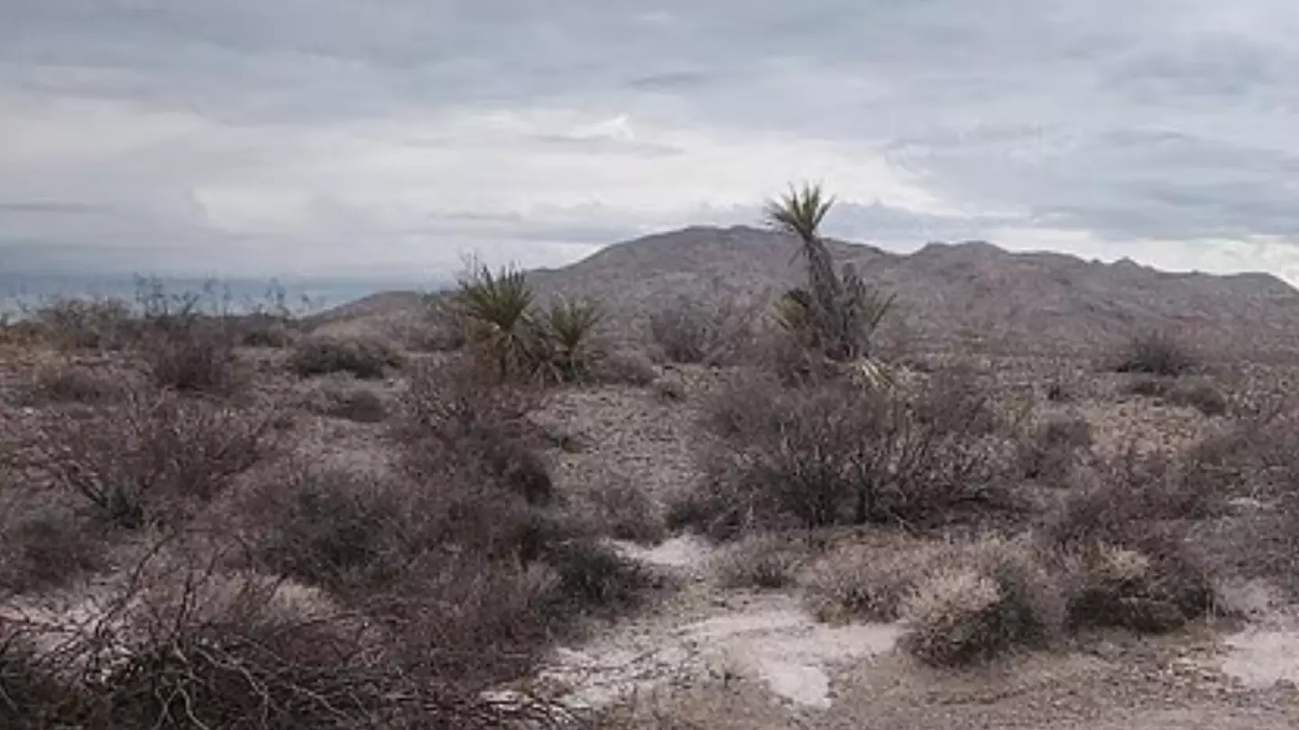 Horrifying mystery as piles of cremated human remains found in remote desert outside of Las Vegas